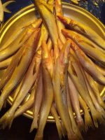 সাগরের বাইলা মাছ