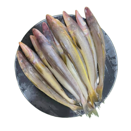 নদীর বেলে মাছ River fish