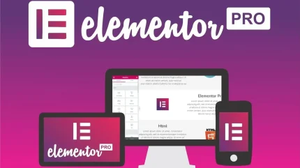 ১০০% অরজিনাল Elementor Pro Version 3.35.1 অর্ডার করতে চাইলে এখনি মেসেজ করুন।